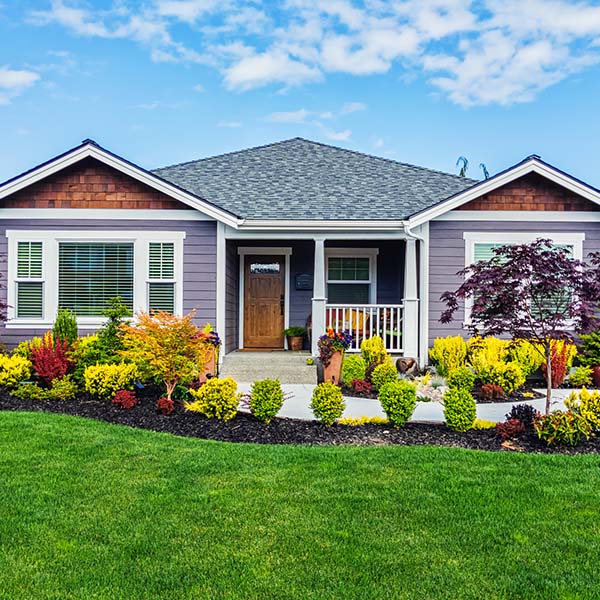modern custom single-level suburban home