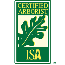 Certified Arborist